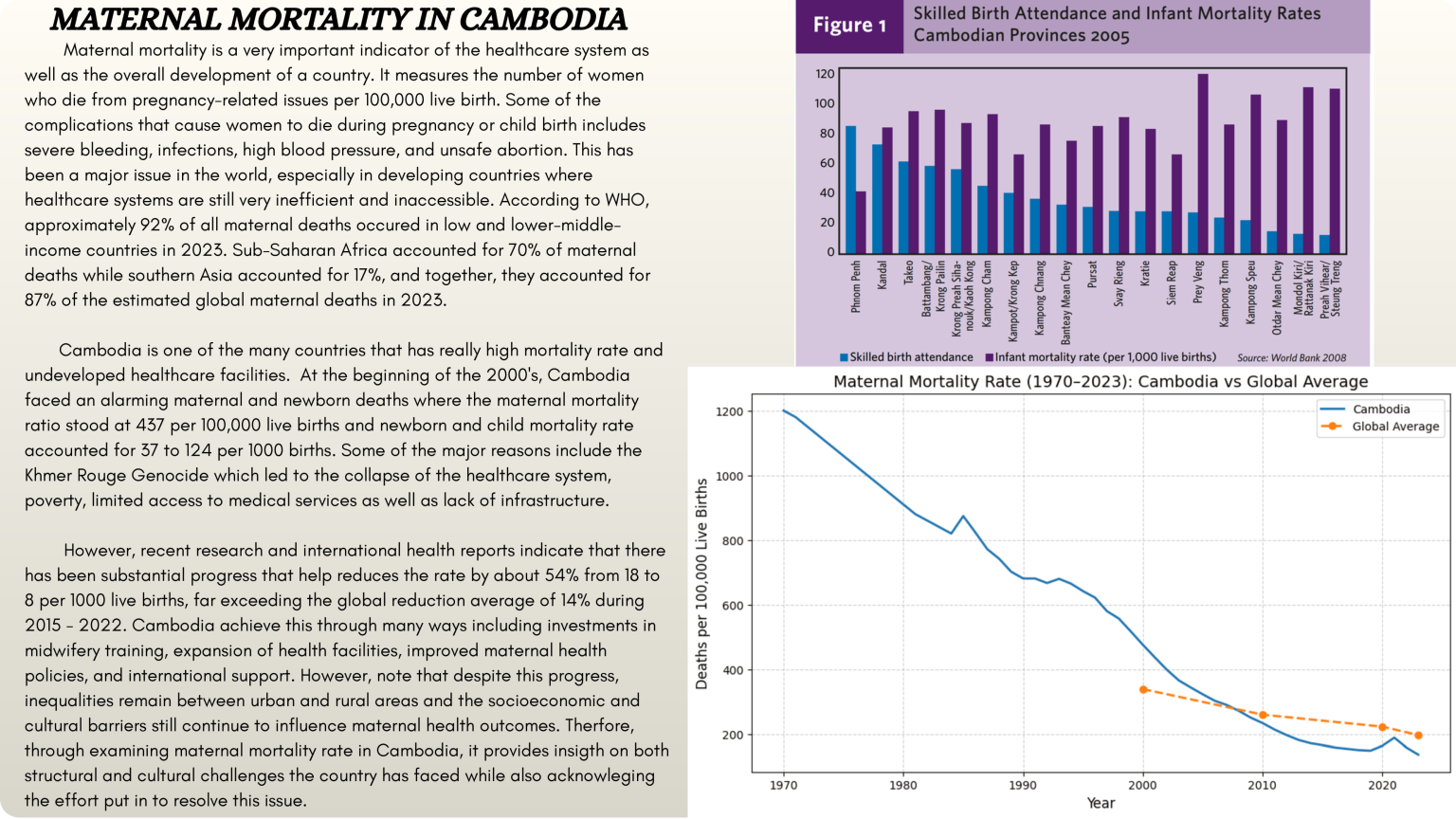 The_Causes_of_Maternal_Mortality_In_Cambodia_Final__1_-05