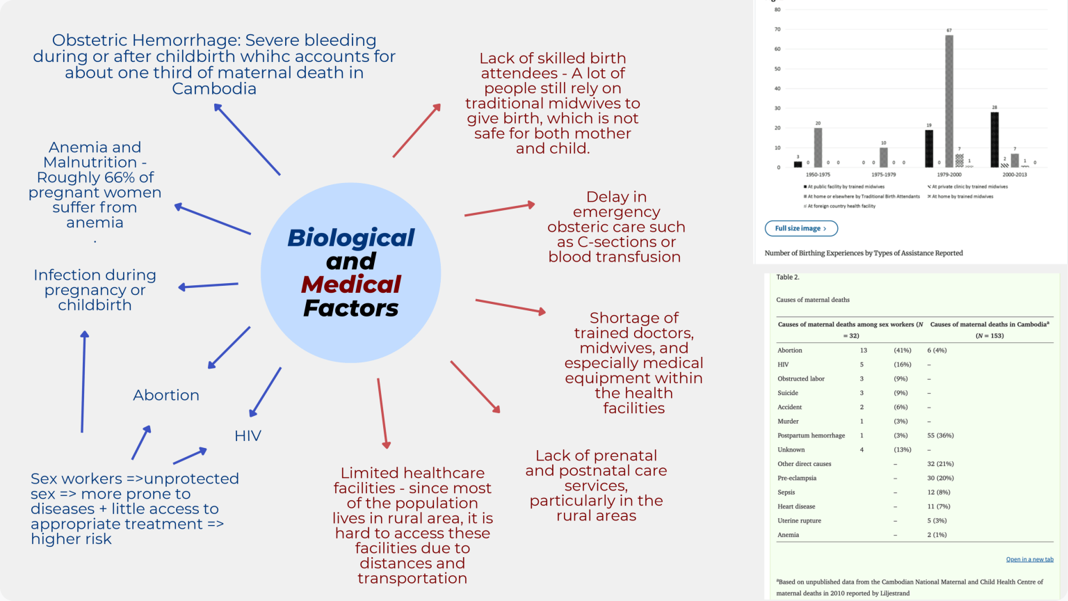 The_Causes_of_Maternal_Mortality_In_Cambodia_Final__1_-07