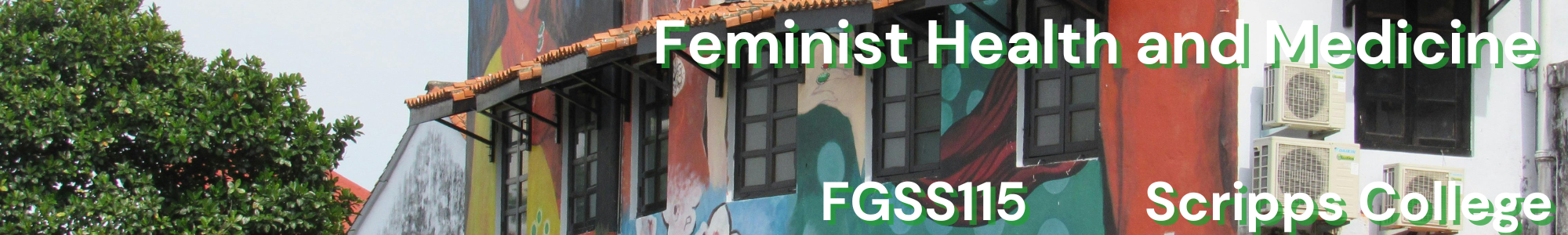Intro-to-Feminist-Gender-and-Sexuality-Studies-FGSS-026-Scripps-College-3